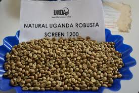 Innovative Solutions for African Markets